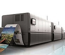 cat banner continuous form